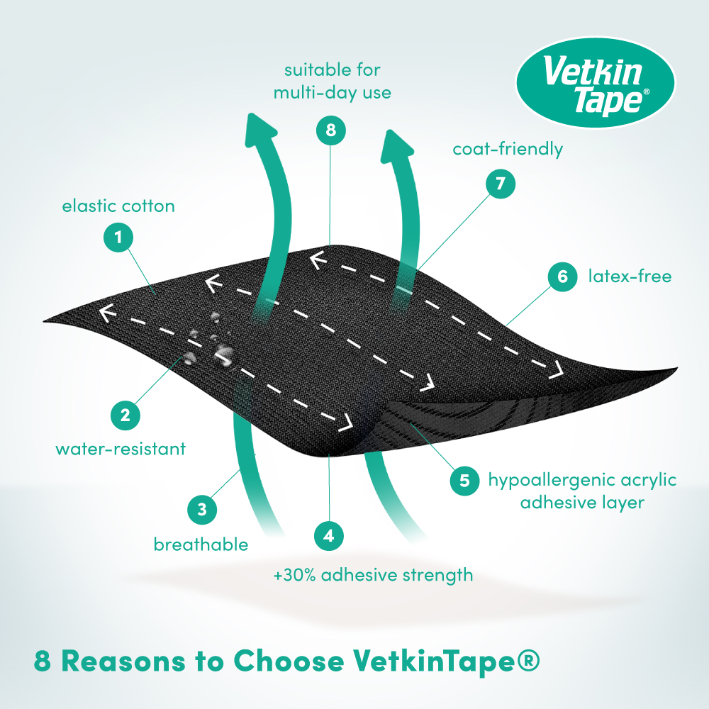 VetkinTape® veterinary tape 3cm x 5m - Image 2
