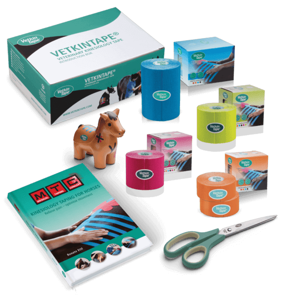 vetkintape-equine-introduction-offer-kinesiology-tape-thysol-australia