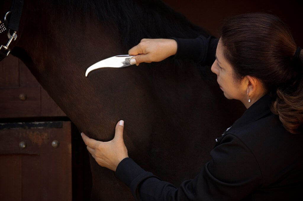 FASCIQ - IASTM tool Mustache - applying ong horse