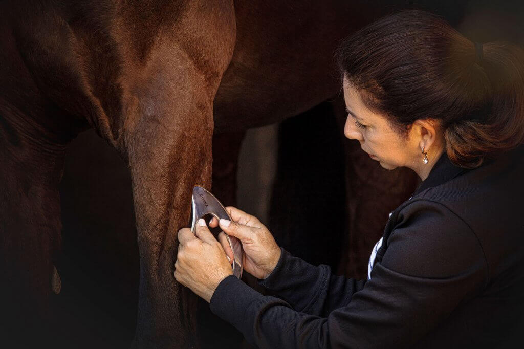 FASCIQ - IASTM tool Kiss - applying on horse