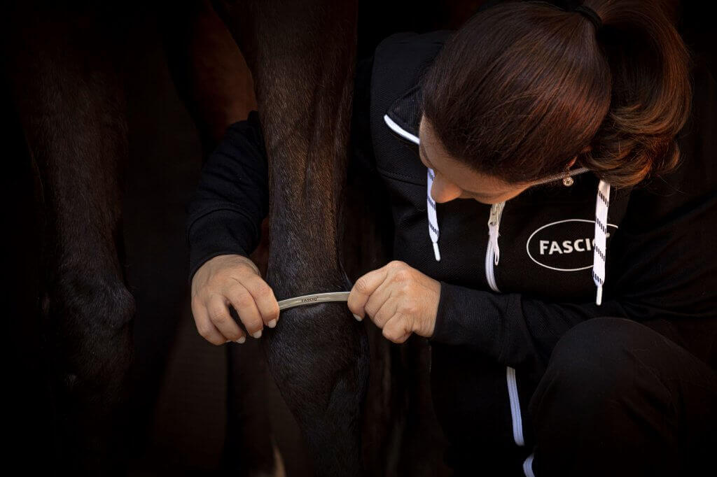 FASCIQ - IASTM tool uit Small set (5) - applying on horse