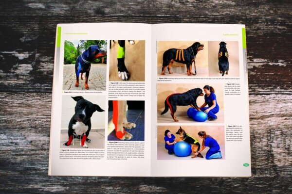 canine-taping-book-inside