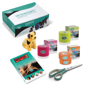 vetkintape-canine-introduction-offer-kinesiology-tape-thysol-australia