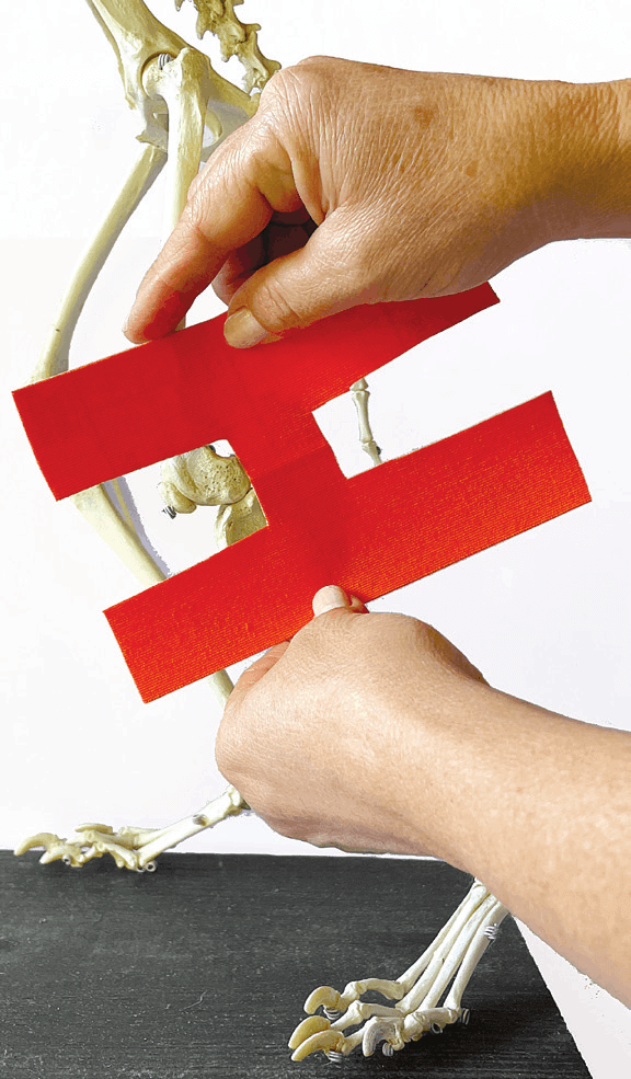 Cutting an additional H tape for lateral and medial support