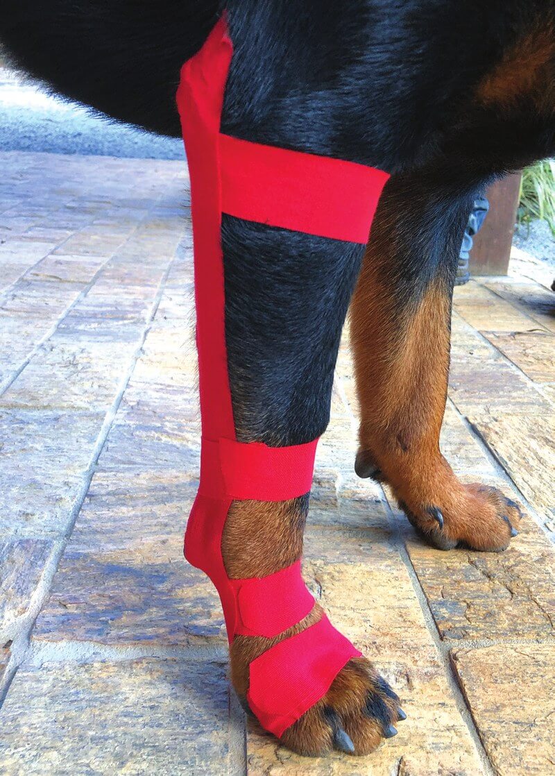 Carpal hyperextension taping guide
