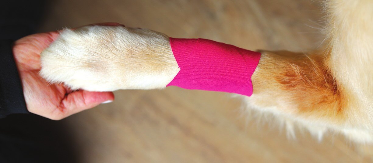 Joint pain X technique taping guide