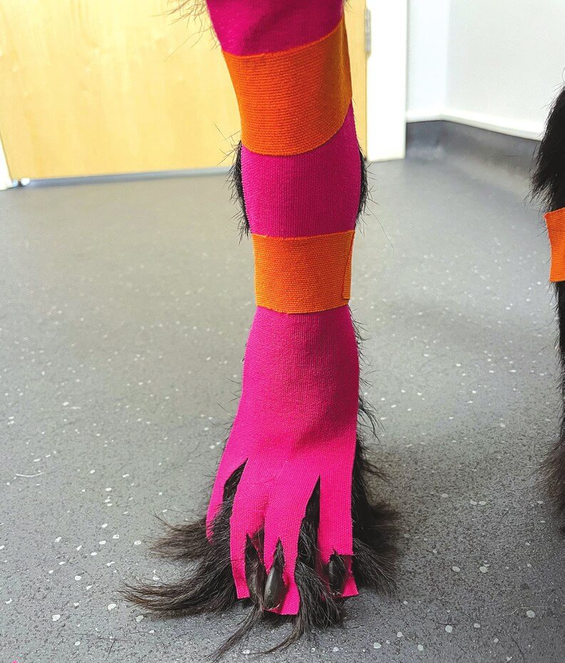 Proprioception taping guide