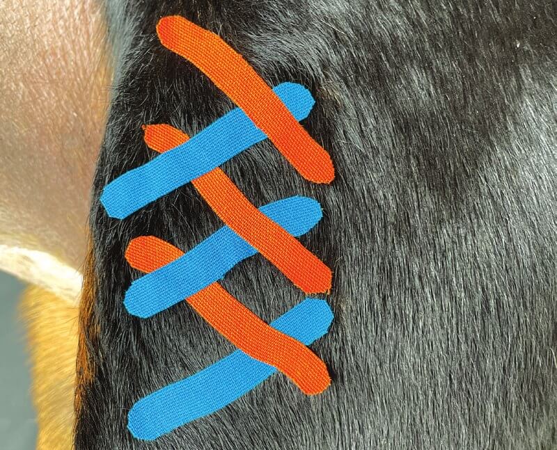 Scar tissue taping guide