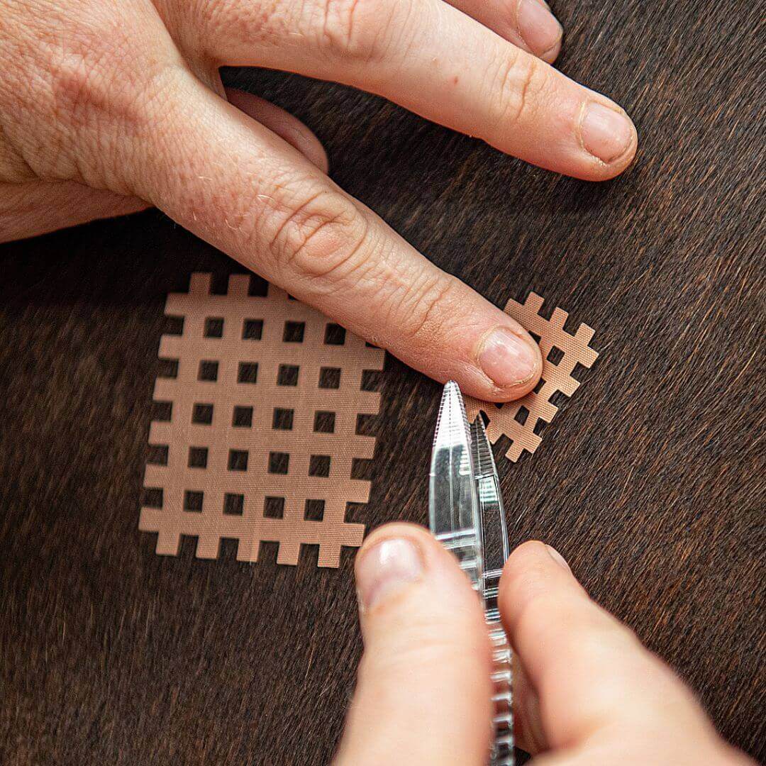 CrossLinq® VET - Acupressure Cross Patches - Image 4