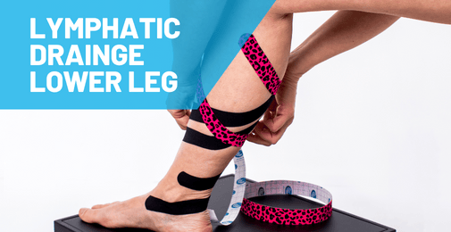 lymphatic drainage of lower leg and ankle